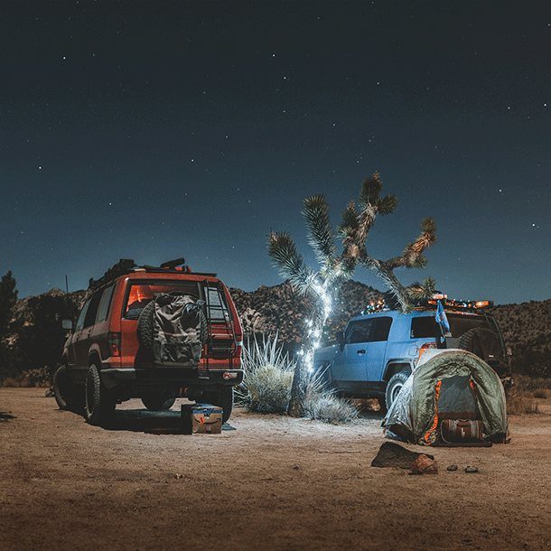 Camp at night under a Joshua tree, string lights up