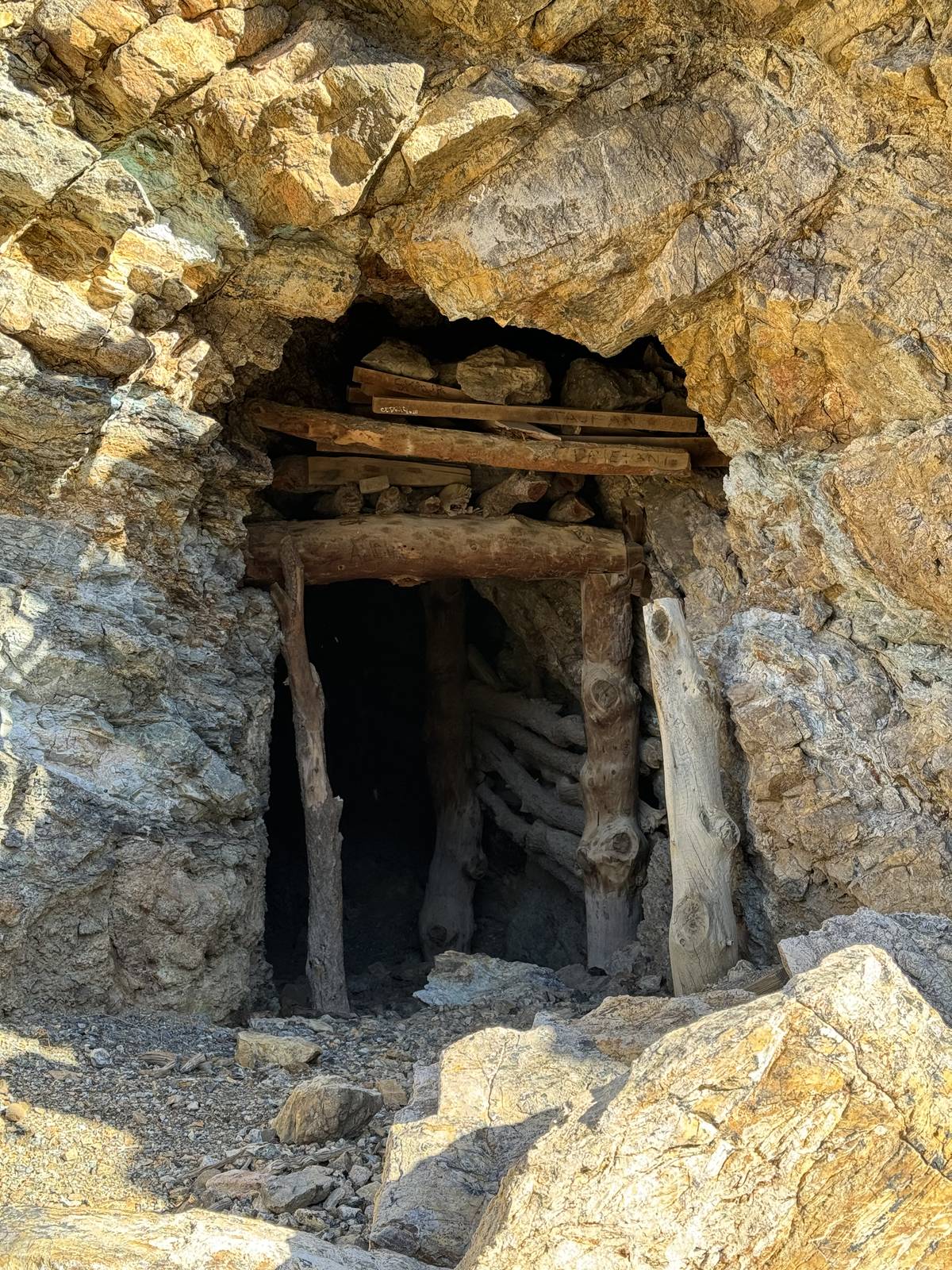 A timbered mine adit in the New York Mountains